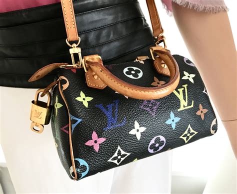 lv multicolor mini speedy|louis vuitton speedy handbags.